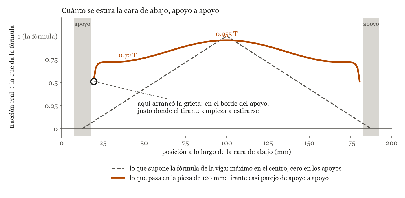 Gráfico de la tracción en la cara inferior del adoquín de 120 mm a lo largo de la luz, comparada con el triángulo que supone la fórmula de la viga. La curva real es casi plana: vale 0.72 veces el valor de la fórmula a dos centímetros del apoyo y sube apenas hasta 0.955 en el centro. Un punto marca dónde arrancó la grieta: en el borde del apoyo, justo donde el tirante empieza a estirarse