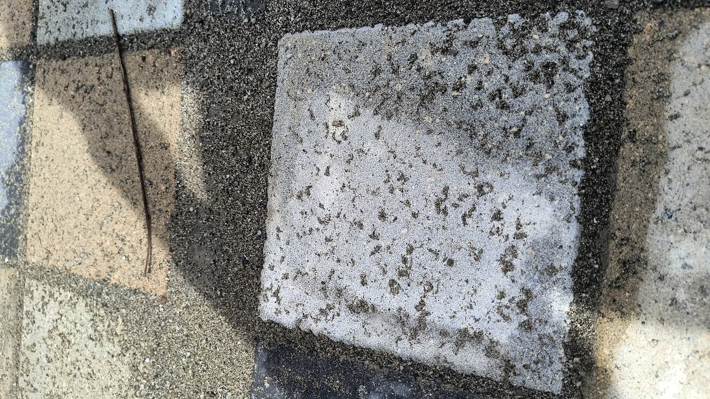 Detalle de la cara de una pieza de concreto gris levantada del pavimento, con un velo blanco difuso y moteado repartido por toda la superficie